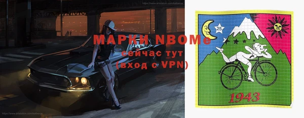 гидра Володарск