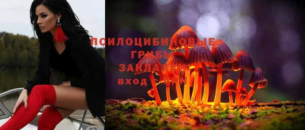 гидра Володарск