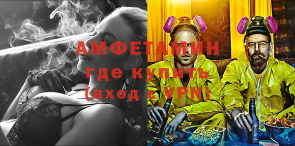 шишки Бородино