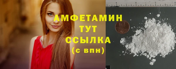 гидра Володарск