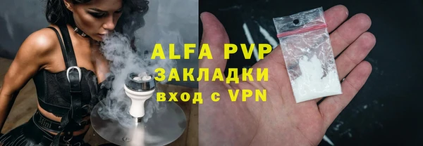 гидра Володарск