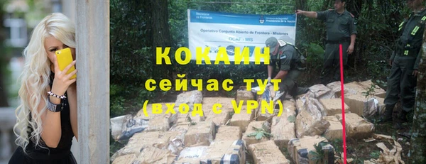 гидра Володарск