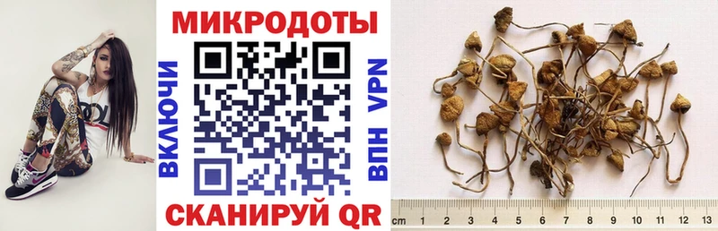 Галлюциногенные грибы Psilocybine cubensis blacksprut ТОР Абакан где купить наркотик
